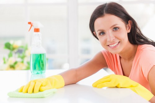 Rug cleaning service for a Hollandpark home interior