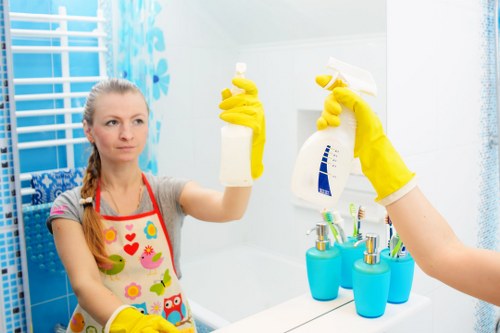 Professional pet stain and odour removal service in Hollandpark for carpets and rugs