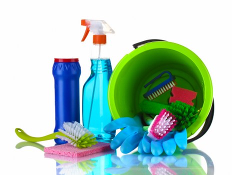 Professional steam carpet cleaning for a Hollandpark home interior