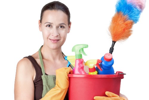 Professional oven cleaning service for a Hollandpark kitchen