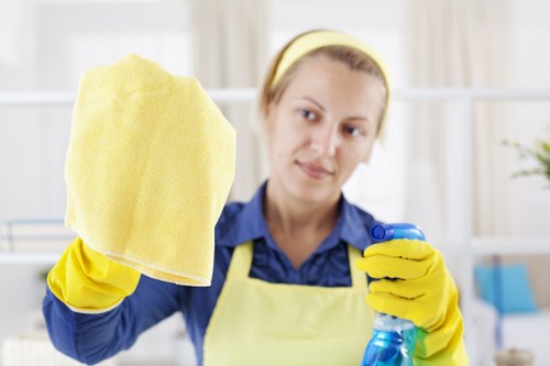 Cleaning and recycling operations in Holland Park with sorted waste handling