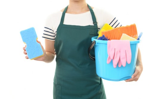 Professional mattress cleaning service for Hollandpark homes and apartments