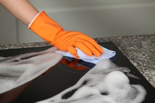 Local gutter cleaning work in Hollandpark with access considerations