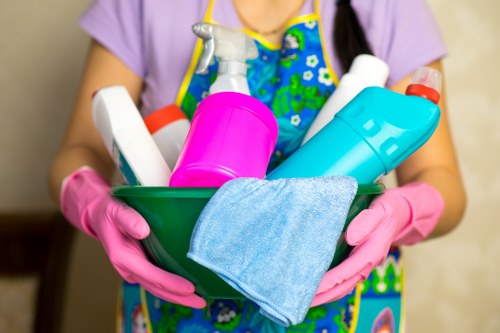 Professional move out cleaning for a Hollandpark apartment