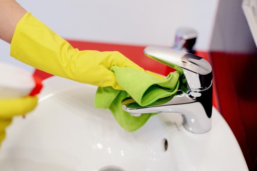 Local regular cleaning for flats and townhouses in Hollandpark