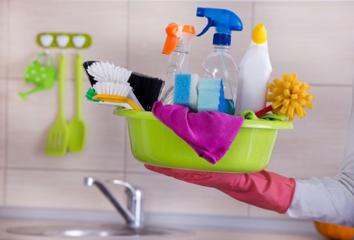 Commercial cleaner servicing an office in Hollandpark