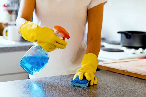 Secure Hollandpark Cleaner payment interface with card and digital payment options