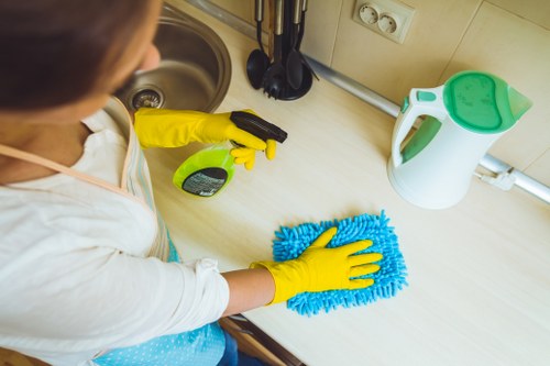 Cleaning professional beginning a service appointment