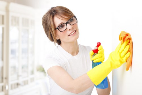 Deep carpet cleaning in a Hollandpark flat or apartment