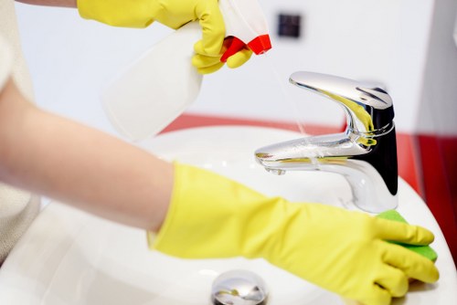 Local domestic cleaner preparing a Hollandpark property