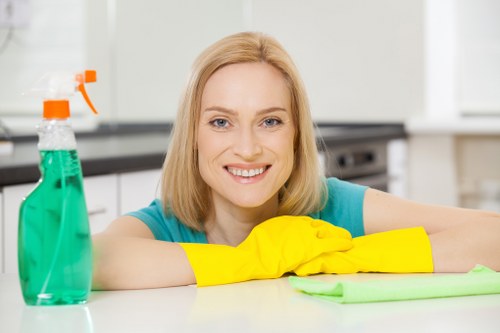 Prepared cleaning checklist and recurring home maintenance in Hollandpark