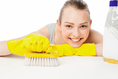 Local specialist treating upholstery stains in Holland Park