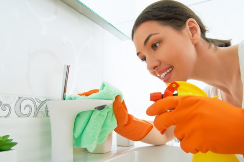 Local house cleaning support for homes around Hollandpark