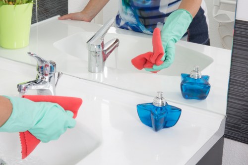 Steam cleaning service in a Hollandpark commercial or office space