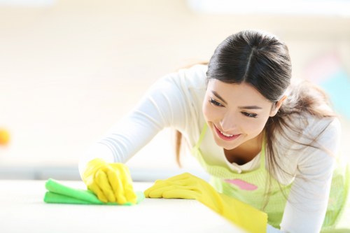 Detailed kitchen and bathroom house cleaning in Hollandpark