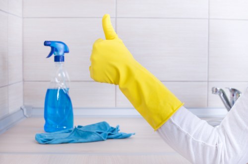Hollandpark Cleaner team approach to residential and commercial cleaning