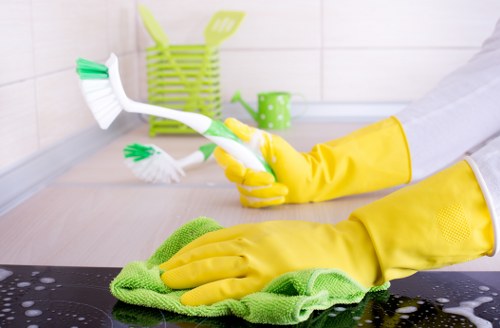 Professional cleaners maintaining desks and shared office surfaces in Hollandpark
