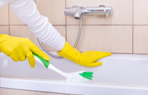 Local window cleaning service for Hollandpark homes and flats