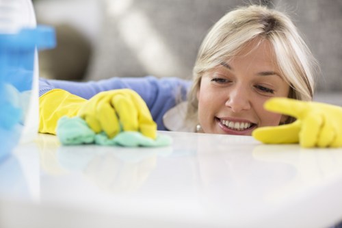 Deep carpet cleaning in a Hollandpark shared business building
