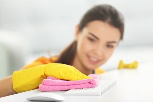 Hollandpark Cleaner delivering careful and consistent cleaning results