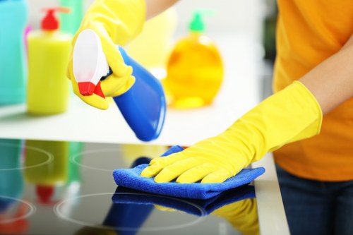 Detailed deep clean of a living area in Hollandpark