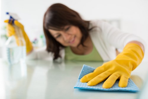 Technician cleaning a mattress to remove stains and odours in Hollandpark