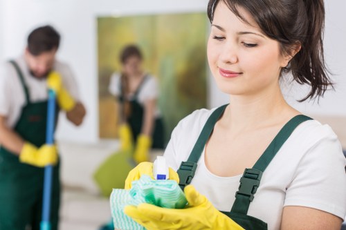 Professional rug cleaning for a commercial space near Hollandpark