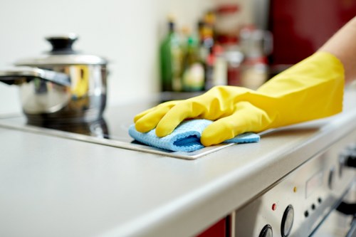 Detailed post renovation cleaning of kitchen surfaces in a Hollandpark property