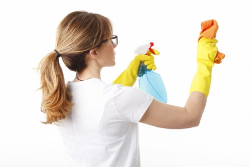 Commercial window cleaning for shopfronts and offices in Hollandpark