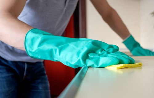 End of tenancy kitchen cleaning in Hollandpark