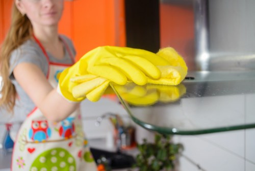 Holland Park cleaner maintaining a spotless home interior