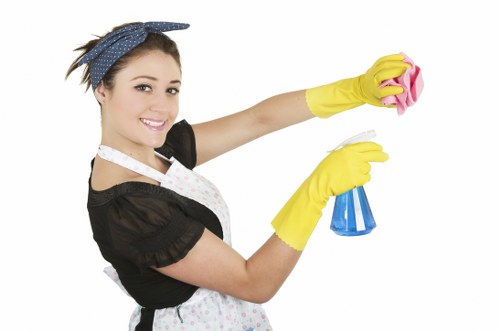Hollandpark Cleaner team following safety procedures