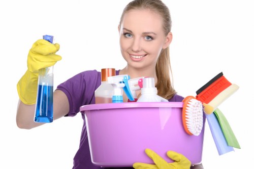 Regular cleaning for a clinic or consulting room in Hollandpark