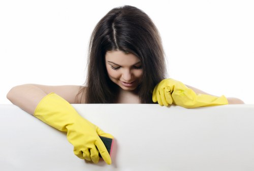 Professional window cleaning for residential properties in Hollandpark