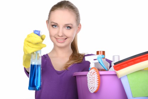 Professional deep cleaning for a Hollandpark apartment kitchen