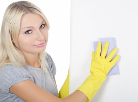 Turnover cleaning for a furnished rental near Hollandpark