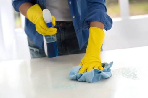 Local cleaning team working in a period apartment near Holland Park