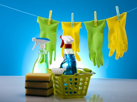 Inspection and cleaning of pet stain damage in a Hollandpark apartment