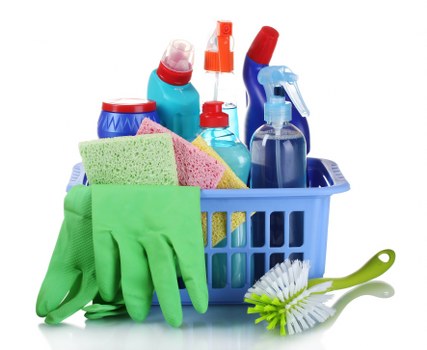 Team member reviewing cleaning safety procedures in a work area