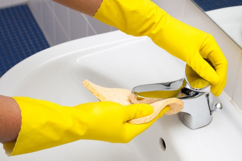 Commercial and residential gutter cleaning service area in Hollandpark