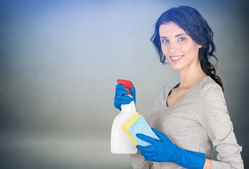 Professional cleaning of mixed-material facade in Hollandpark