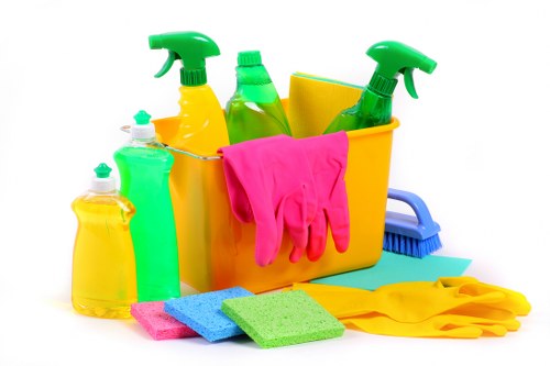 Deep cleaning for a Hollandpark home before a move or tenancy change