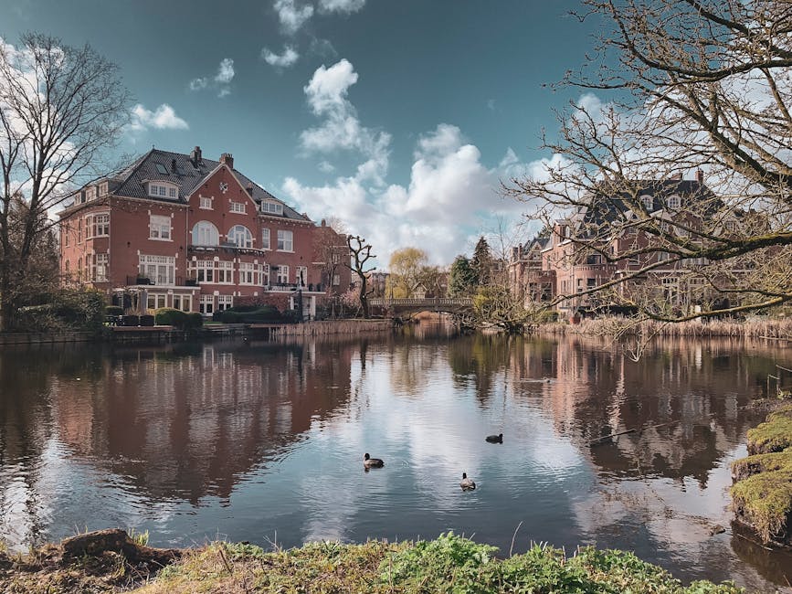A scenic view of the Kyoto Garden area in Holland Park featuring residential buildings with brick facades and large windows facing a calm pond. The pond's surface is reflective, showing the partly cloudy sky and nearby leafless trees with intricate branches reaching over the water. Near the water’s edge, green vegetation and grass are visible, suggesting maintained landscaping typical of domestic and commercial garden settings. The overall scene appears clean and well-maintained, with no visible debris or dirt, emphasizing the importance of surface cleaning and proper upkeep in garden and outdoor spaces. Holland Park Cleaner, a professional cleaning company, specializes in deep cleaning and sanitisation of such outdoor features, ensuring hygiene and aesthetic appeal are preserved in residential and commercial properties alike.