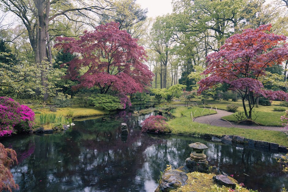 A scenic view of the Kyoto Garden area in Holland Park featuring residential buildings with brick facades and large windows facing a calm pond. The pond's surface is reflective, showing the partly cloudy sky and nearby leafless trees with intricate branches reaching over the water. Near the water’s edge, green vegetation and grass are visible, suggesting maintained landscaping typical of domestic and commercial garden settings. The overall scene appears clean and well-maintained, with no visible debris or dirt, emphasizing the importance of surface cleaning and proper upkeep in garden and outdoor spaces. Holland Park Cleaner, a professional cleaning company, specializes in deep cleaning and sanitisation of such outdoor features, ensuring hygiene and aesthetic appeal are preserved in residential and commercial properties alike.