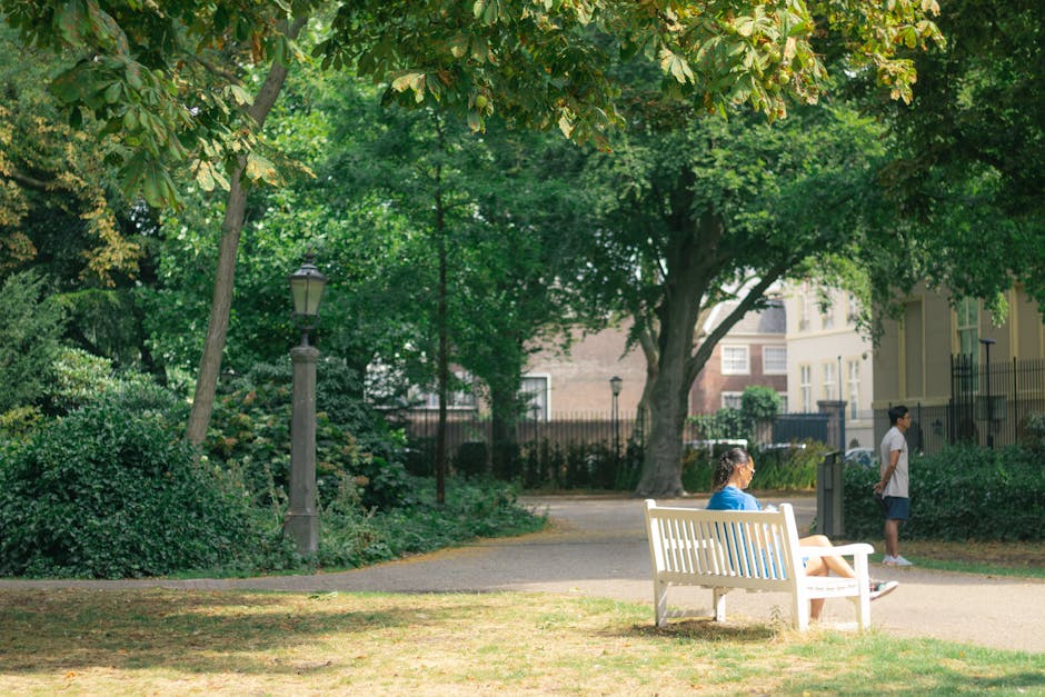 A residential area with a white wooden park bench on a paved path, occupied by a woman wearing a blue top and white shorts who appears to be reading or relaxing. Nearby, a young boy in a white T-shirt and dark shorts is standing and looking into the distance. The scene is set in a lush, green park with large trees providing shade, and a vintage-style lamppost is visible alongside dense bushes and grass. In the background, multi-storey residential buildings with light-colored facades are partially obscured by the foliage. The area appears clean, well-maintained, and shaded by natural sunlight, indicative of a peaceful outdoor space. This setting underscores the importance of outdoor cleanliness and maintenance managed by professionals like Holland Park Cleaner, ensuring hygiene and aesthetic appeal for communal and residential environments.