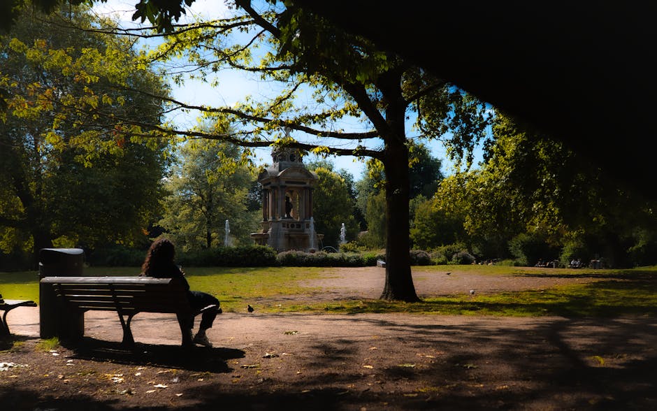 A person sits on a wooden park bench in an outdoor space shaded by large leafy trees, with sunlight filtering through the branches. In the background, a historic stone fountain with classical architec