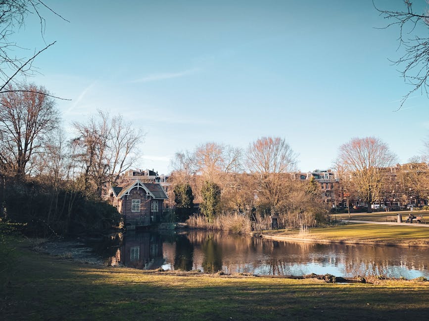 A peaceful park scene featuring a small pond with calm, reflective water surrounded by leafless trees and well-maintained grass. In the background, there are residential buildings with large windows and dark rooftops, and a clear blue sky overhead. The areas near the pond appear clean and well-kept, illustrating a tidy outdoor environment. This image captures the tranquil atmosphere of a suburban park, consistent with the aesthetic of homes in the Holland Park area, showcasing natural beauty and serenity that complements the services offered by Holland Park Cleaner for domestic and commercial surface cleaning and maintenance.